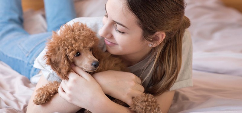 Can Your Dog Detect When You re Sick? How Pets Spot Illness