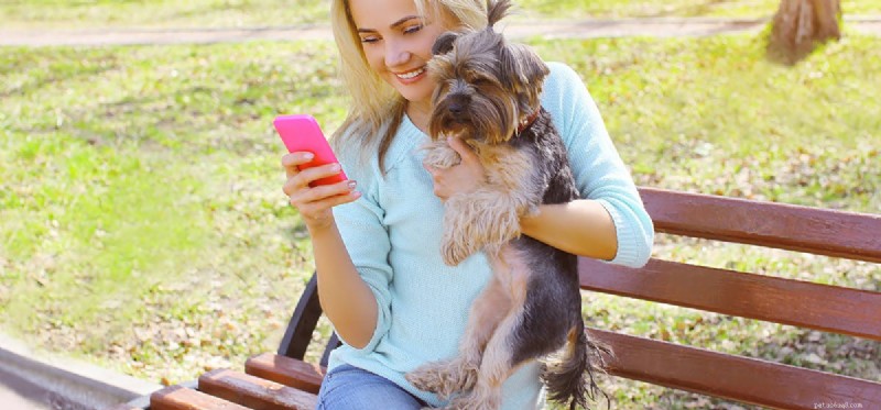 Can Dogs Hear a Ringtone Only They Can Hear? Discover the Truth