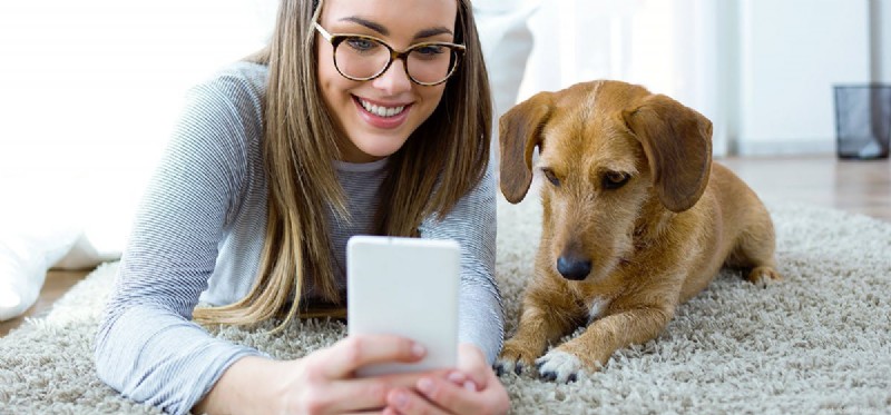 Can Dogs Hear a Ringtone Only They Can Hear? Discover the Truth