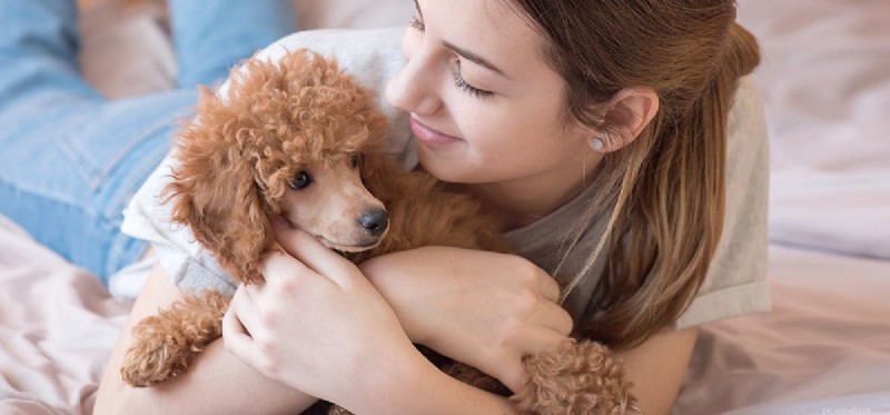 Is Your Dog Displaying Co-Dependency? A Guide to Understanding Attachment
