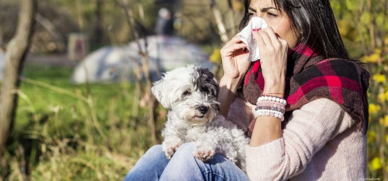 How Human Diseases Can Affect Your Dog: What to Know