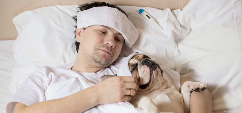 How Human Diseases Can Affect Your Dog: What to Know