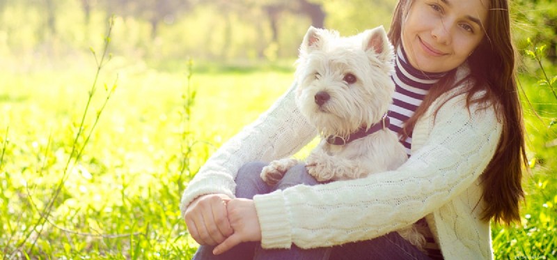 How Dogs Protect You: Understanding Their Protective Instincts