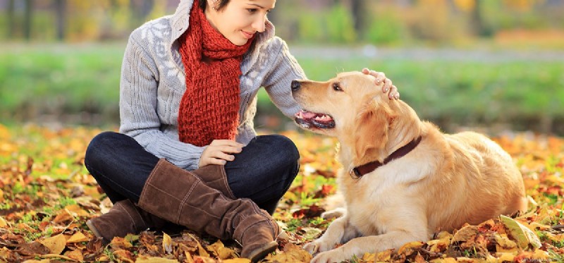 How Dogs Protect You: Understanding Their Protective Instincts