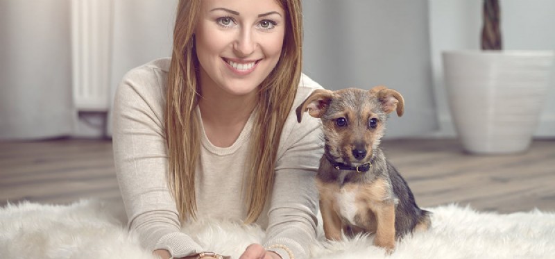 Unveiling Canine Cognition: How Dogs Perceive the World