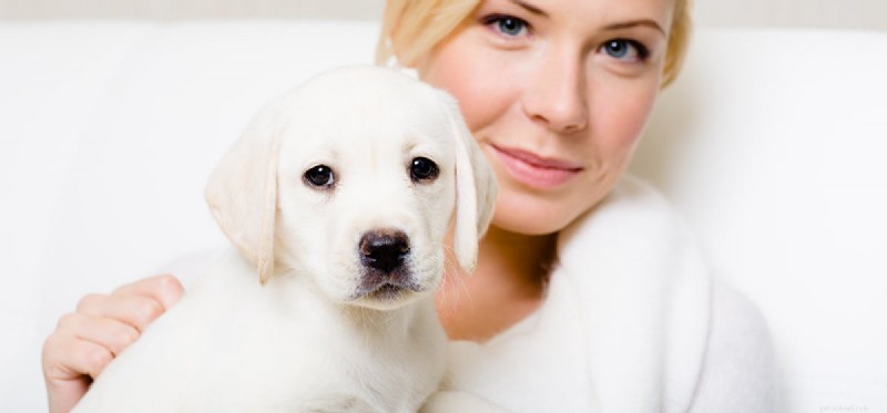 Dogs  Hearing Range: 40 Hz–60,000 Hz – Why Your Pup Sees Sound Before You Do