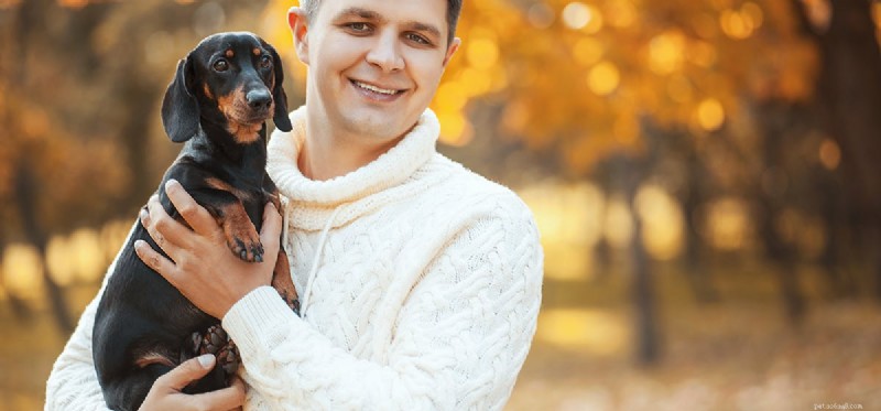 Do Dogs Accurately Judge Human Character? A Scientific Look