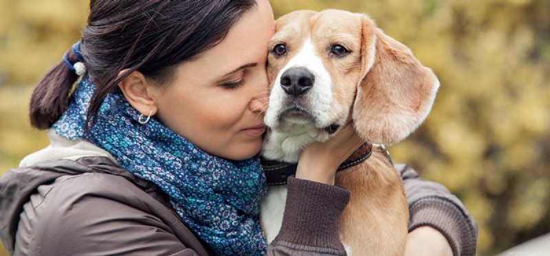 Do Dogs Detect When You re Crying? Understanding Their Empathy
