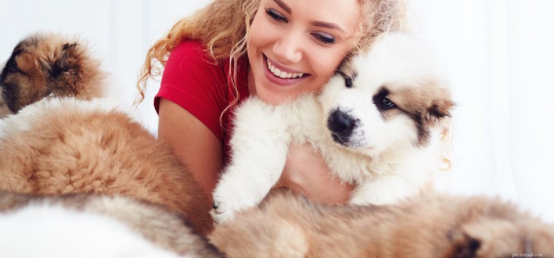 Do Dogs Detect Your Love? Understanding the Human-Pet Connection