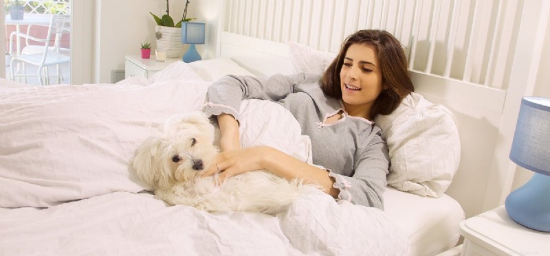 How Dogs Detect Human Illness: A Reliable Guide