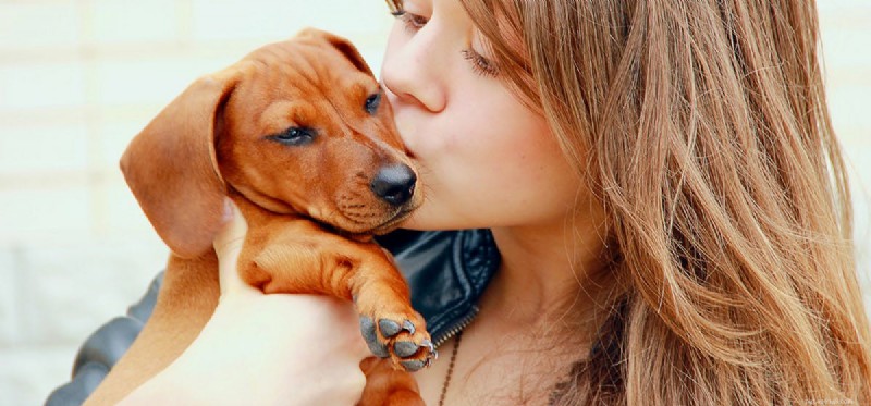 Do Dogs Detect Your Love? Understanding the Human-Pet Connection