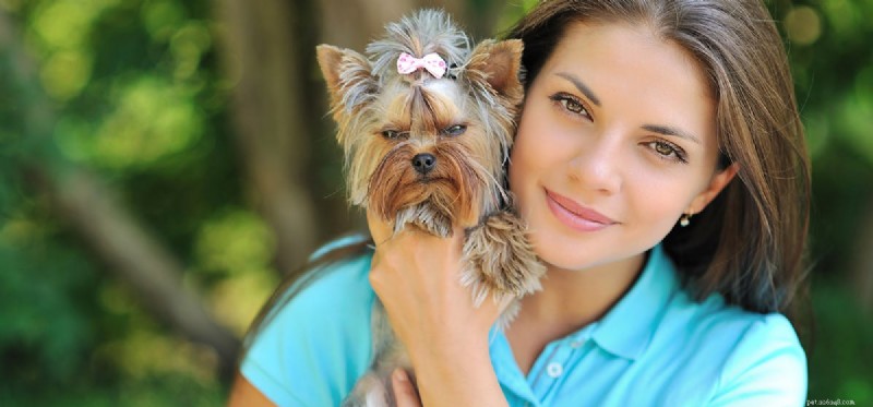 Do Dogs Truly Experience Affection? Unveiling Their Emotional Depth