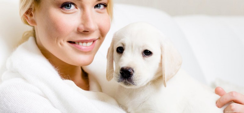 Do Dogs Truly Experience Affection? Unveiling Their Emotional Depth