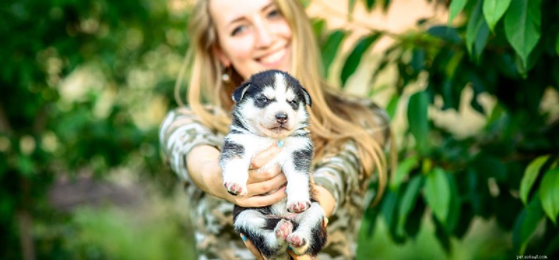 Do Dogs Truly Experience Affection? Unveiling Their Emotional Depth