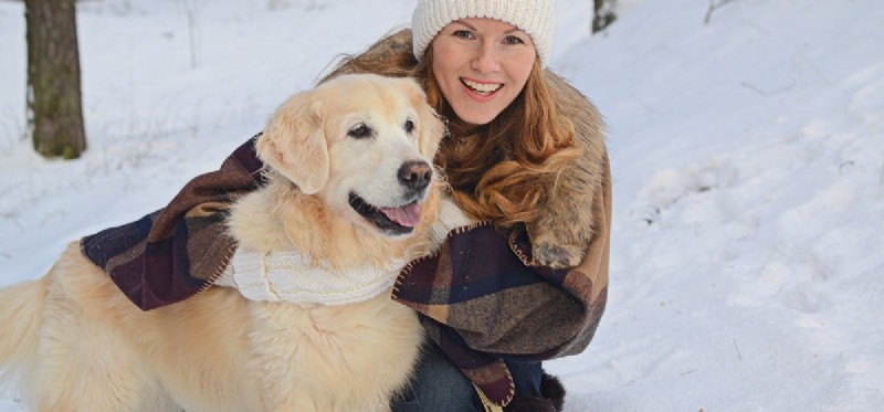 Do Dogs Experience Extreme Anxiety? Unveiling Their Emotional World