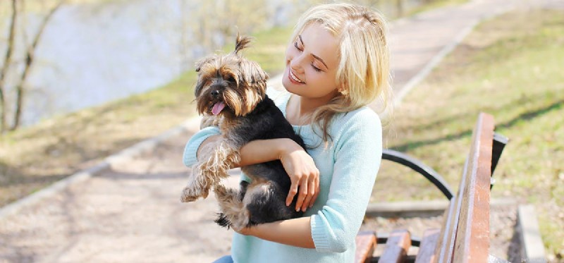 Do Dogs Experience Extreme Anxiety? Unveiling Their Emotional World