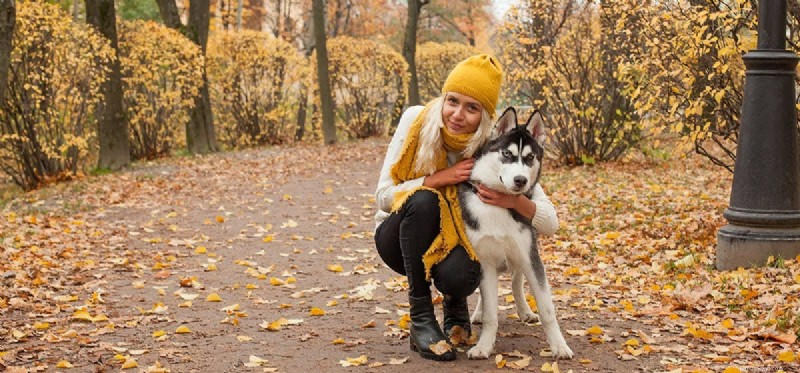 Do Dogs Experience Extreme Anxiety? Unveiling Their Emotional World