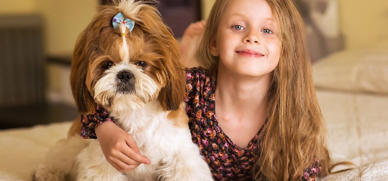 Do Dogs Experience Pride? Debunking the Myth