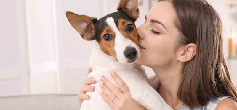 Do Dogs Really Sense When You Kiss Them? Understanding Their Emotional Response