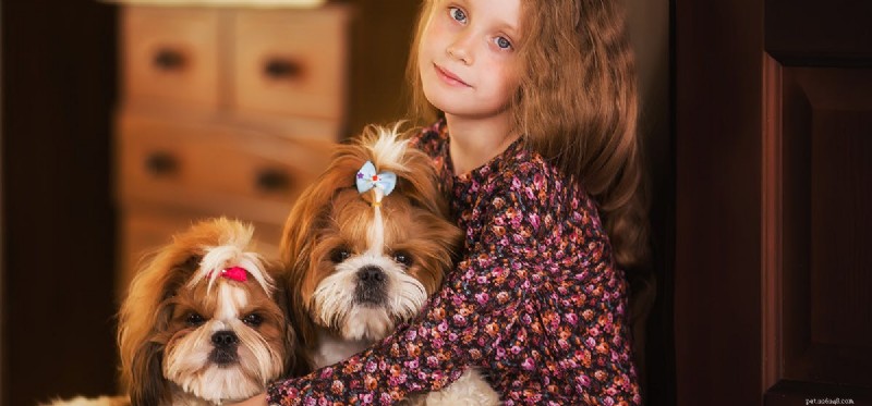 Do Dogs Detect Human Breathing? Unveiling Their Sensory Superpowers