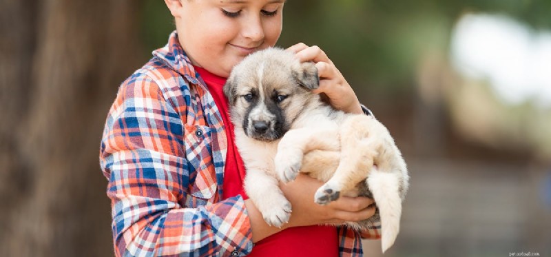 Exploring the Role of Dogs in Reducing Childhood Asthma Risk