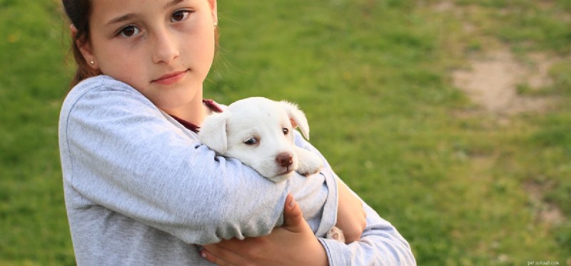 Exploring the Role of Dogs in Reducing Childhood Asthma Risk