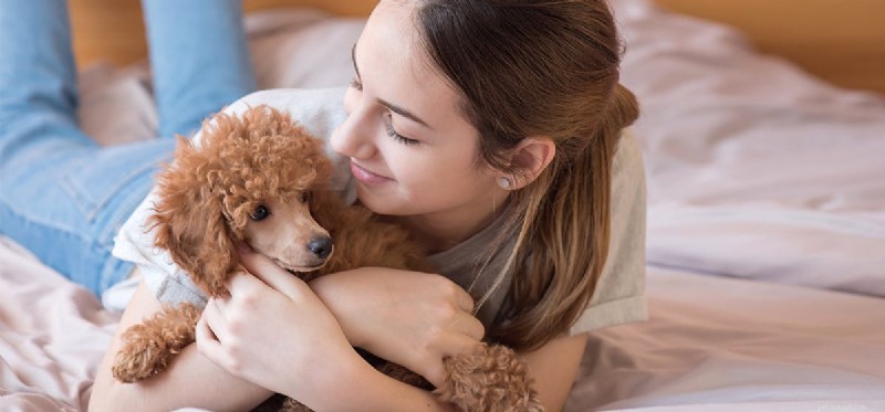 How Dogs Can Help Alleviate Insomnia: A Trusted Guide