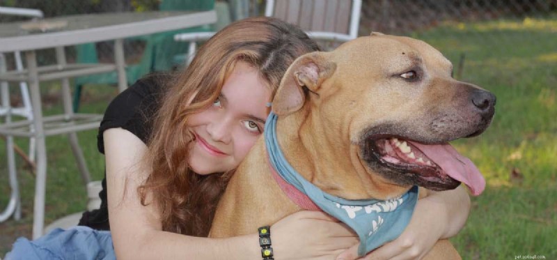 How Dogs Alleviate Social Anxiety: A Trusted Guide