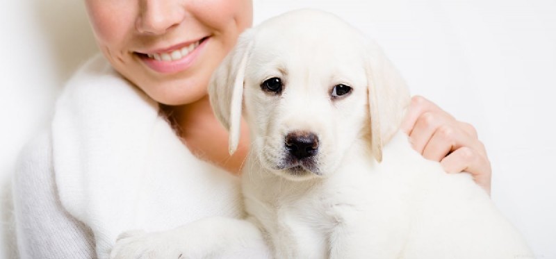 Do Dogs Live as Long as Humans? Uncover the Real Lifespan Gap