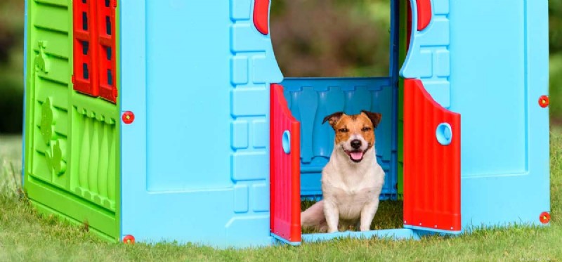 Is It Safe for Dogs to Live Outdoors Year‑Round?