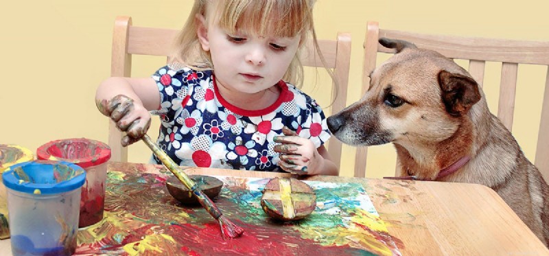 Can Dogs Really See Colors? A Scientific Overview