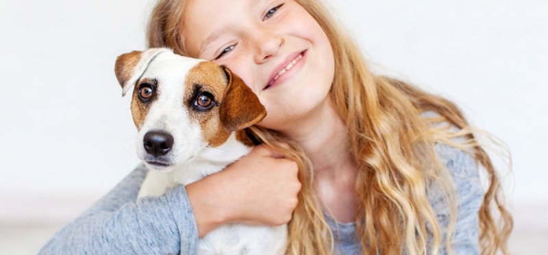 Do Dogs Read Human Facial Expressions? How They Understand Our Emotions