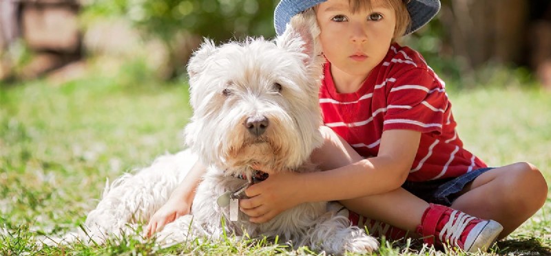 Do Dogs Really See Pee Marks? The Science Behind Their Visual Detection
