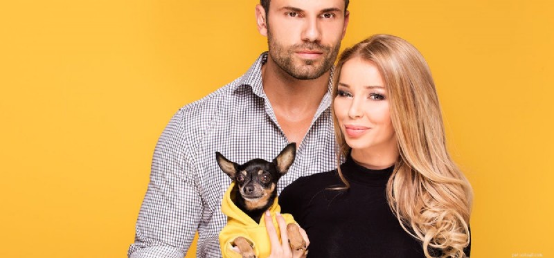 Do Dogs Perceive Yellow? Unveiling Their Color Vision Capabilities