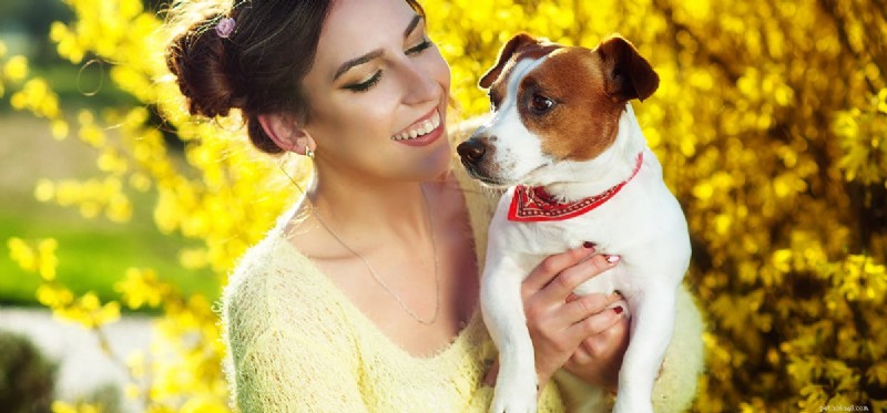 Do Dogs Detect Babies Before Birth?