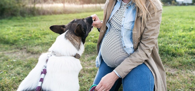 Do Dogs Detect Babies Before Birth?