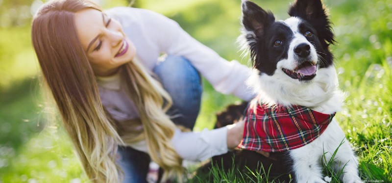 Do Dogs Detect Bipolar Disorder? Understanding Their Sensitivity to Mood Changes