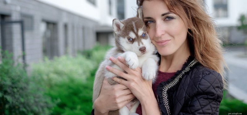 Do Dogs Detect Breast Cancer? Expert Insights & Research Findings