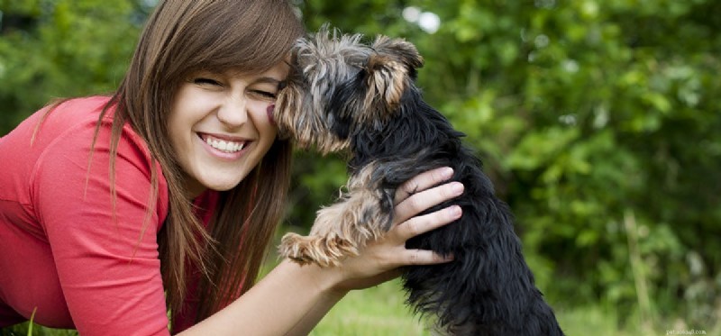 How Dogs Detect Human Injuries: The Science Behind Their Senses