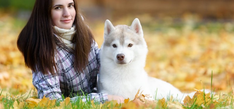 Can Dogs Really Detect the Supernatural? A Scientific Exploration