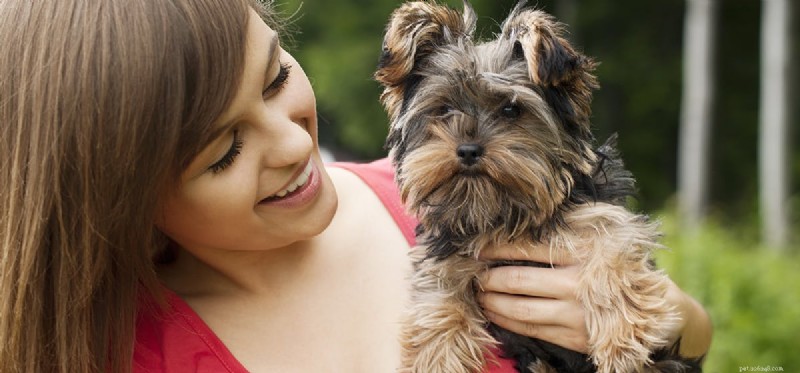 Can Dogs Detect Diabetes? How Their Senses Help Spot the Condition