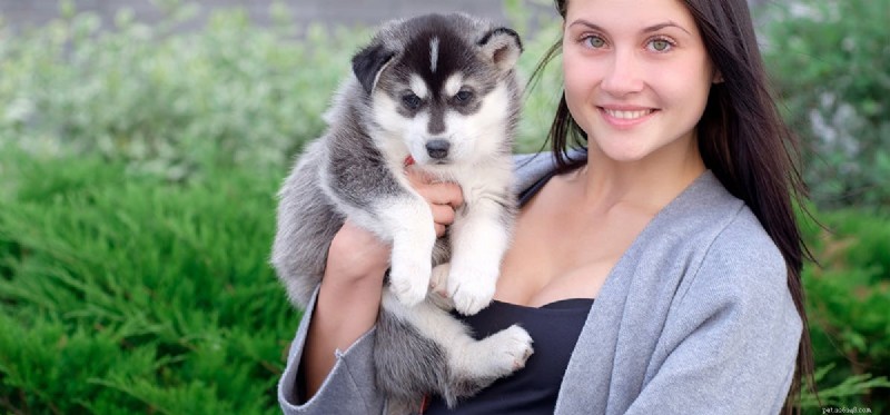 Can Dogs Detect Eczema? Unveiling Their Remarkable Scenting Power