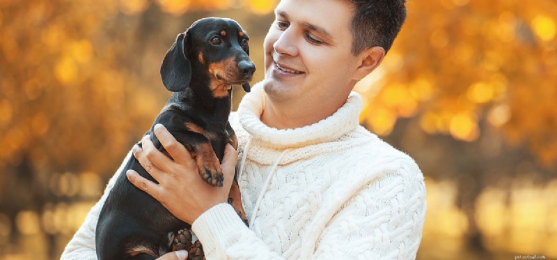 Can Dogs Detect Human Fear? Debunking the Myth Behind the Scent