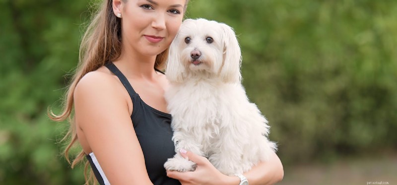 Can Dogs Detect Illness? How Their Keen Smell Helps Spot Health Issues