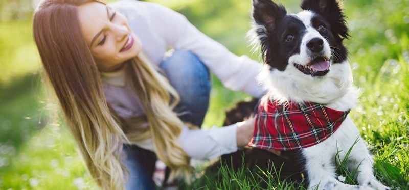 Can Dogs Detect Illness? How Their Keen Smell Helps Spot Health Issues