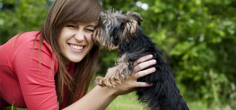 Do Dogs Truly Know How Long You ve Been Away?