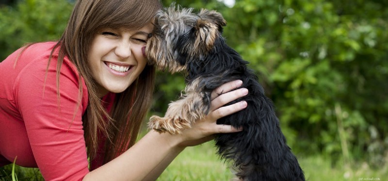 Do Dogs Detect Your Love? Uncovering Canine Perception