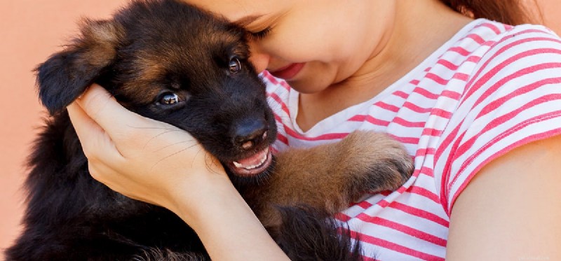 Do Dogs Detect Your Love? Uncovering Canine Perception