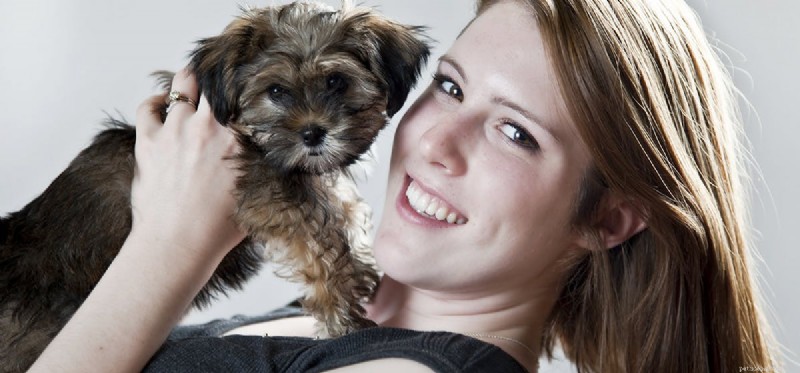 Do Dogs Recognize Human Skin Color? Myths vs. Science