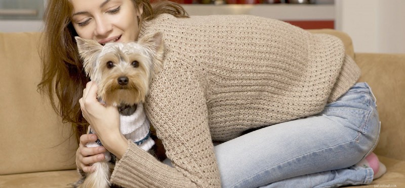 Do Dogs Recognize Human Skin Color? Myths vs. Science